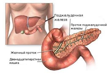 заболевание системы пищеварения заболевание желчного пузыря