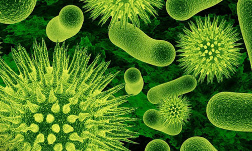 Возбудителем инфекции могут быть гонококковые и негонококковые микроорганизмы, это необходимо учитывать при выборе антибиотика